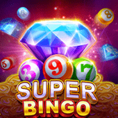 Super Bingo hot d9d9 game