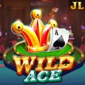 Wild Ace d9d9 slot game
